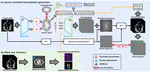 Adapting without Access: Black-Box Bayesian Adaptation for Trustworthy Cross-Center Medical Image Segmentation