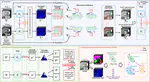 Scribble-Supervised Multi-Organ Segmentation via Epistemic-Driven Hardness-Adaptive Focusing