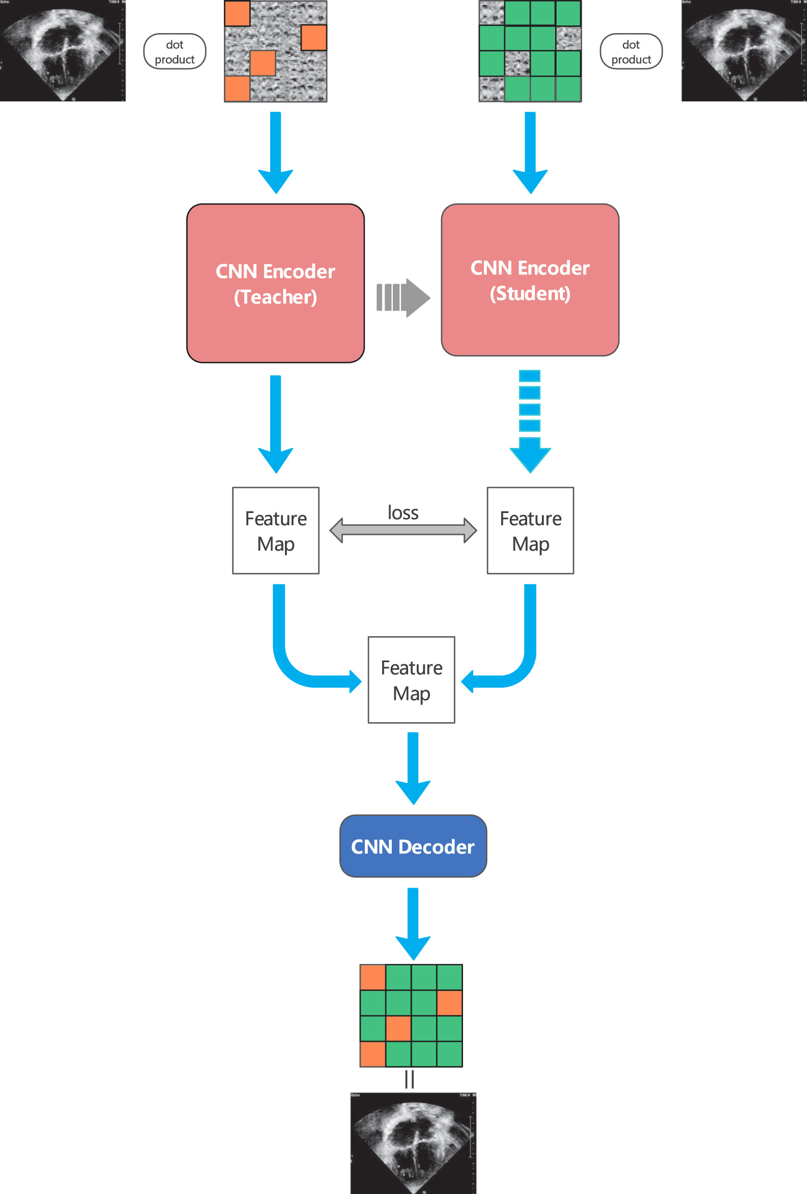 EDMAE: An Efficient Decoupled Masked Autoencoder for Standard View ...
