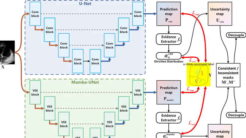 MambaEviScrib: Mamba and Evidence-Guided Consistency Enhance CNN Robustness for Scribble-Based Weakly Supervised Ultrasound Image Segmentation